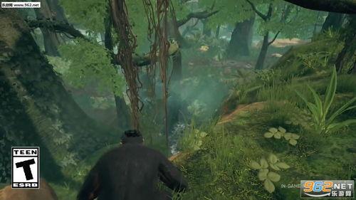 最新先祖爆料视频大全,最新爆料视频大全深度解析  第2张